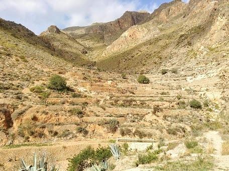 Níjar Cortijo El Molino Apartamento"El Balconcito" מראה חיצוני תמונה